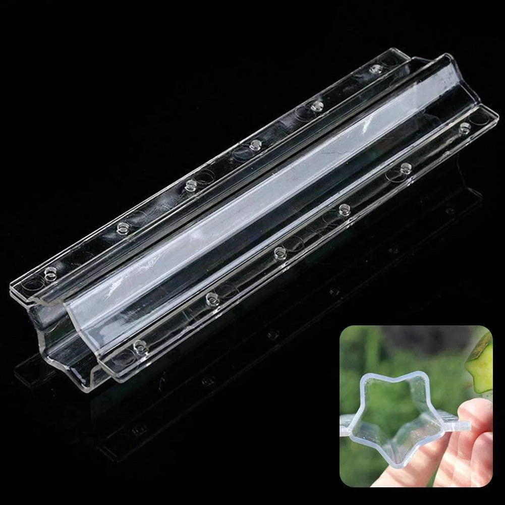 Grow Star & Heart-Shaped Cucumbers β DIY Vegetable Mold for Fun Gardening & Food Art