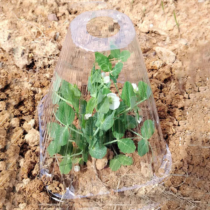 Seedling Protective Covers: Premium Windproof and UV-Resistant Domes for Optimal Plant Growth in Greenhouses and Outdoor Gardens