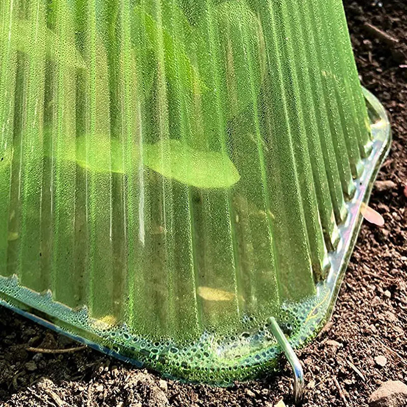 Seedling Protective Covers: Premium Windproof and UV-Resistant Domes for Optimal Plant Growth in Greenhouses and Outdoor Gardens