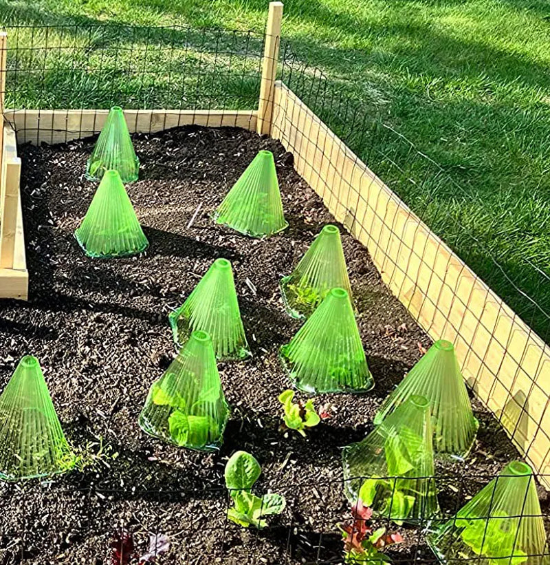 Seedling Protective Covers: Premium Windproof and UV-Resistant Domes for Optimal Plant Growth in Greenhouses and Outdoor Gardens